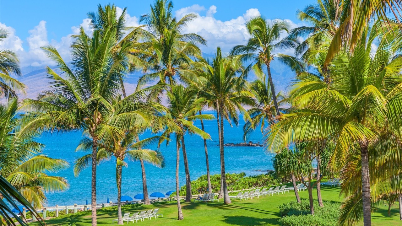 Photo of Others in Wailea