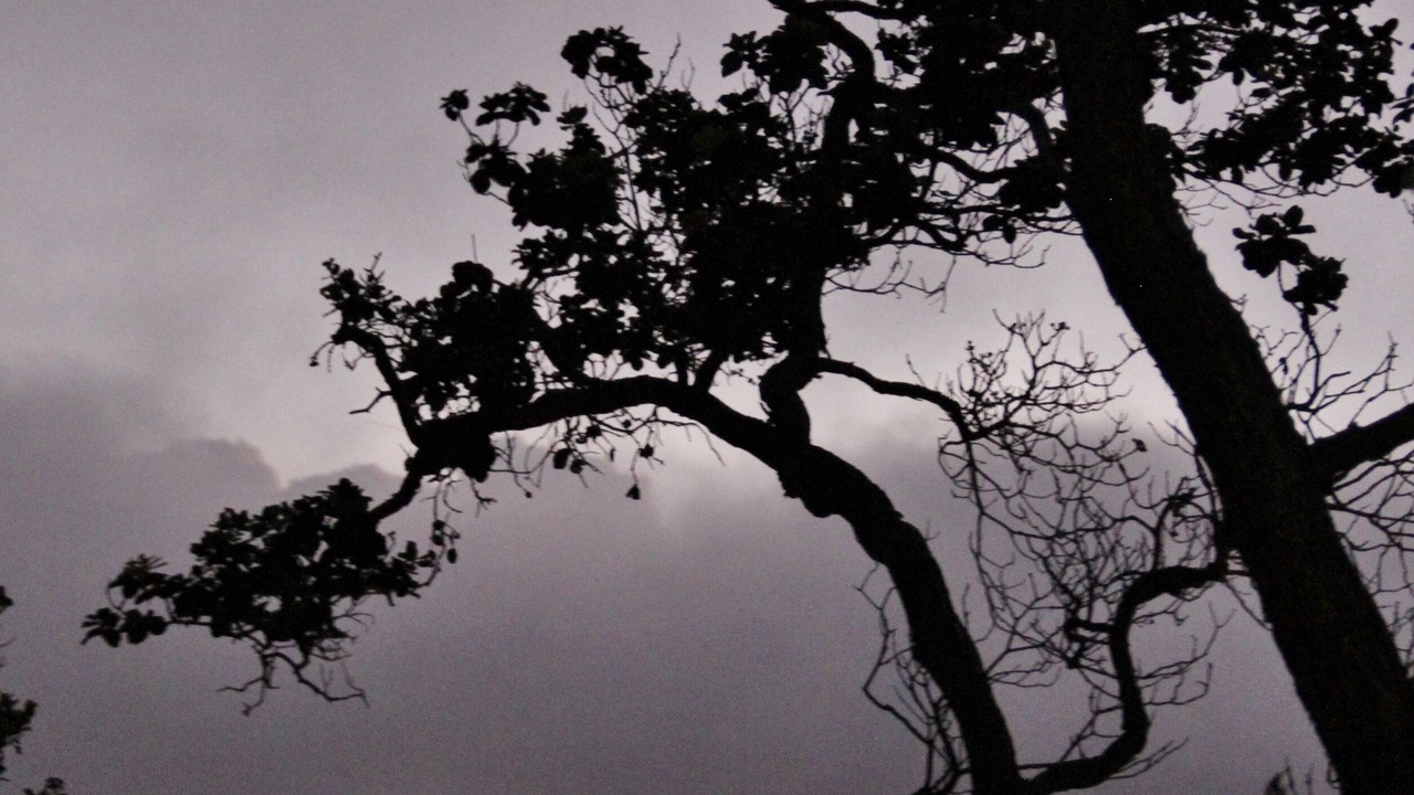 Photo of Others in Keaau