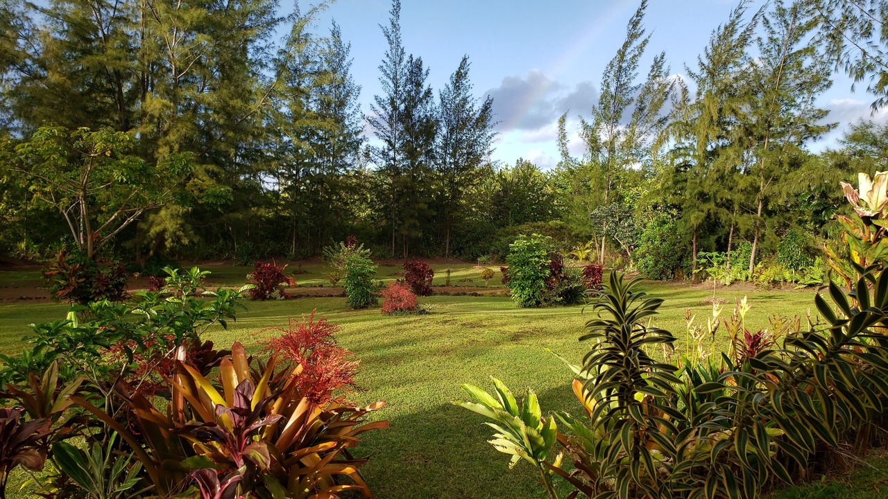 Photo of Outdoor in Keaau