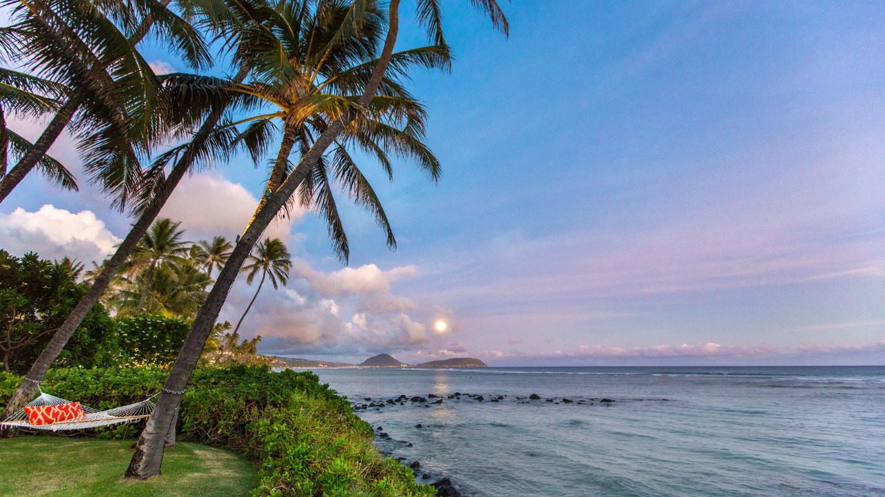 Photo of Others in Kahala