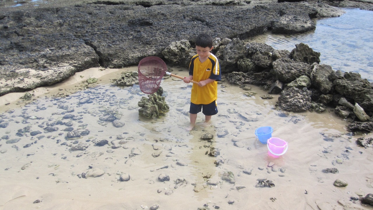 Photo of Others in Hauula