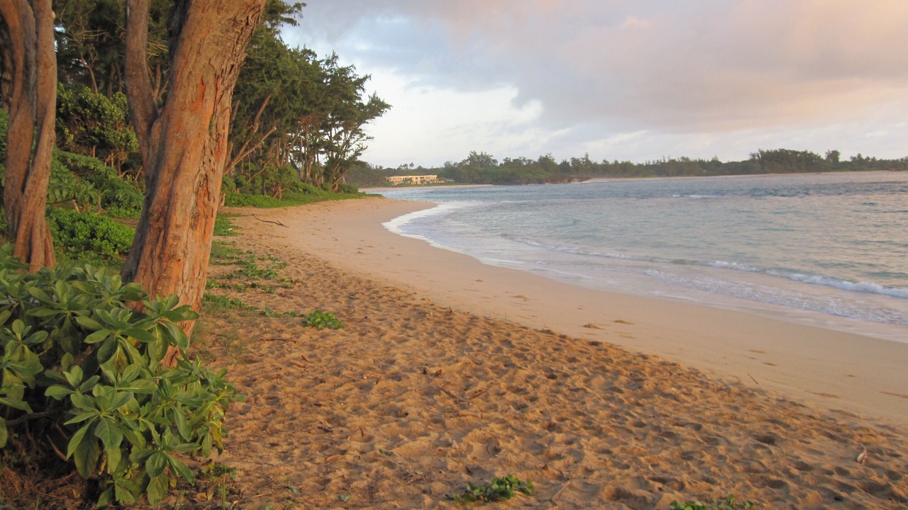 Photo of Others in Hauula
