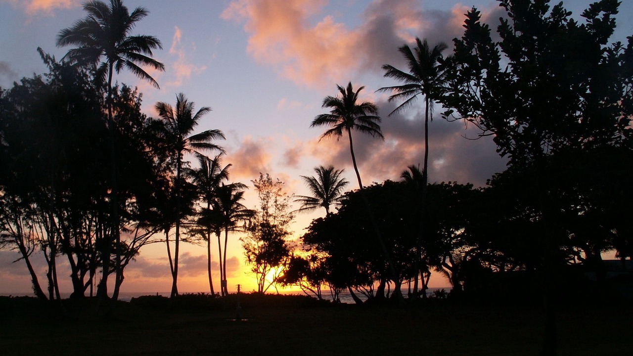 Photo of Others in Hauula