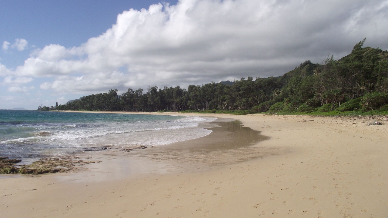 Photo of Others in Hauula