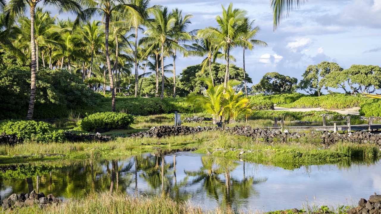 Photo of Others in Kaupulehu
