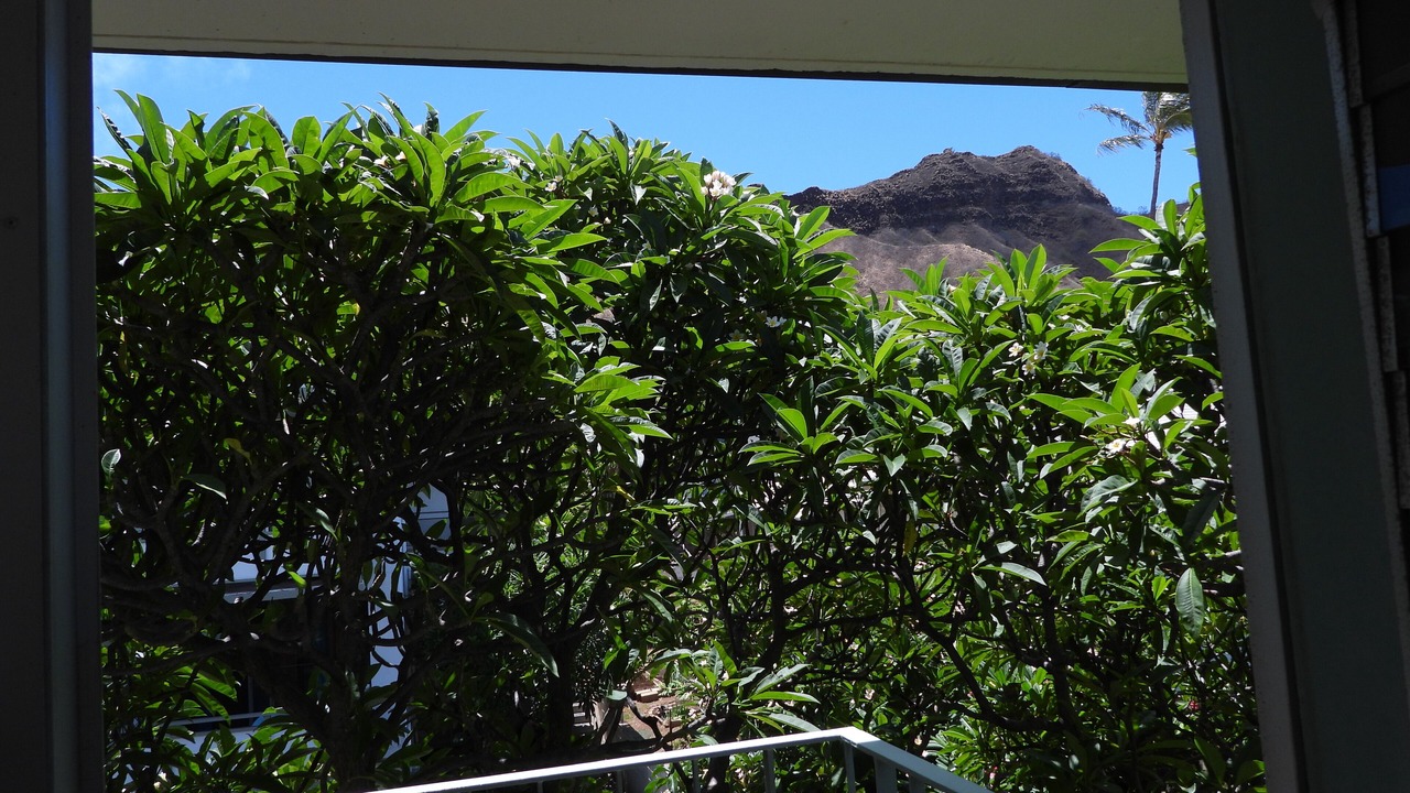 Photo of Outdoor in Diamond Head - Kapahulu - St. Louis