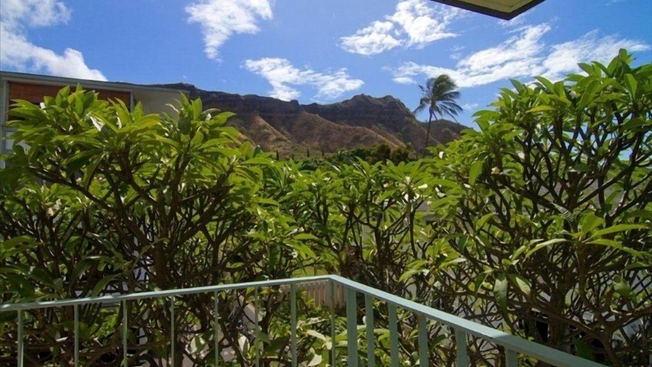 Photo of Others in Diamond Head - Kapahulu - St. Louis