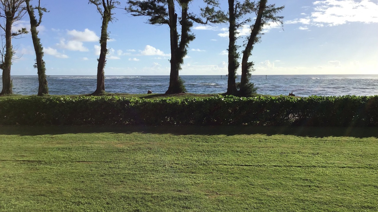 Photo of Others in Kapaa