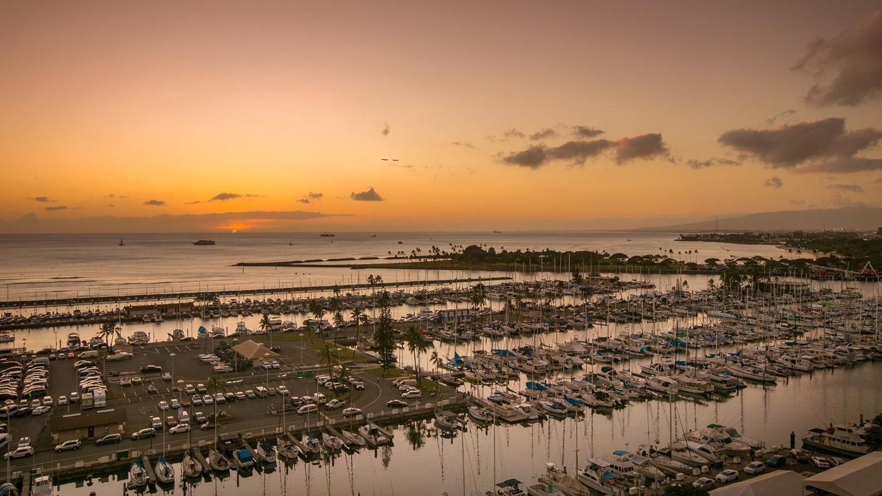 Photo of Others in Waikiki