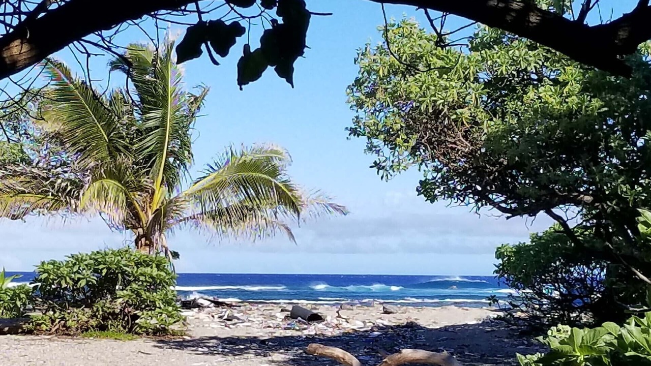 Photo of Others in Naalehu