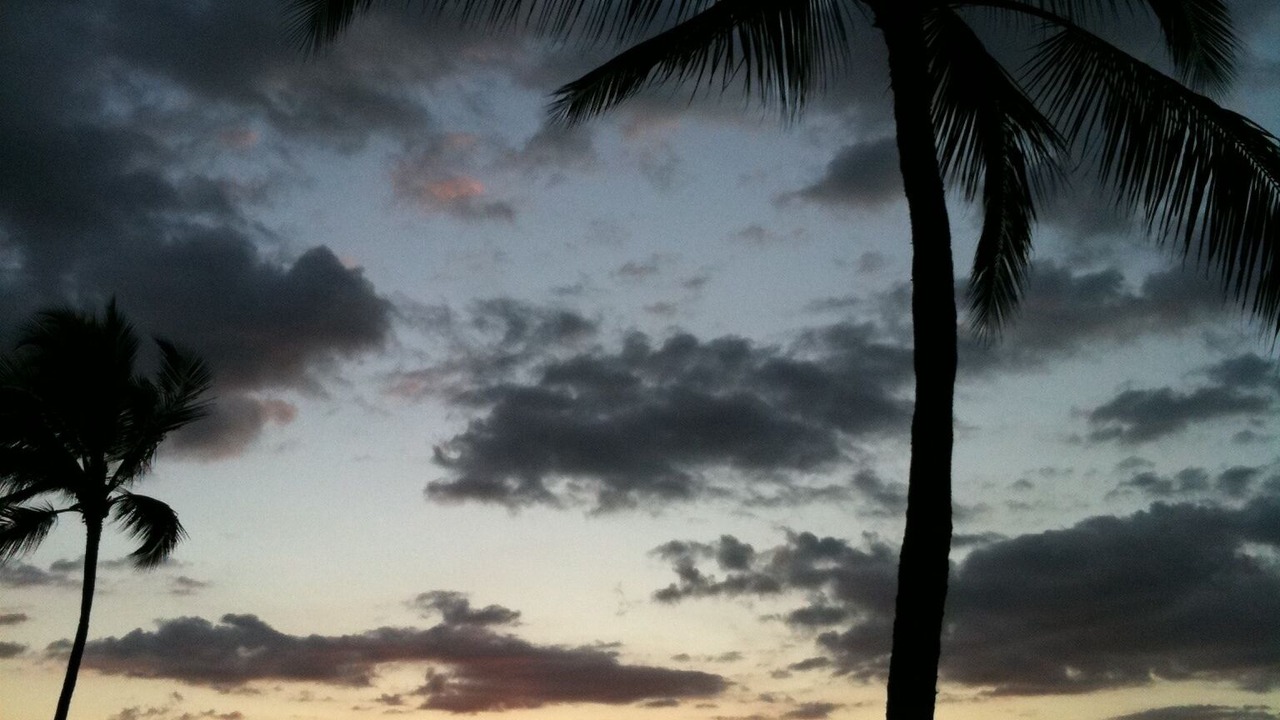 Photo of Others in Wailea