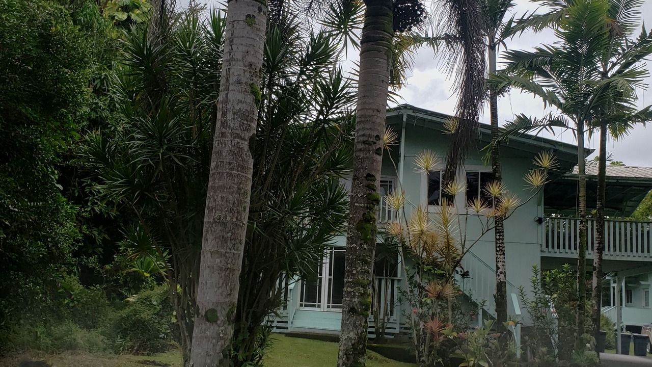 Photo of Outdoor in Keaau