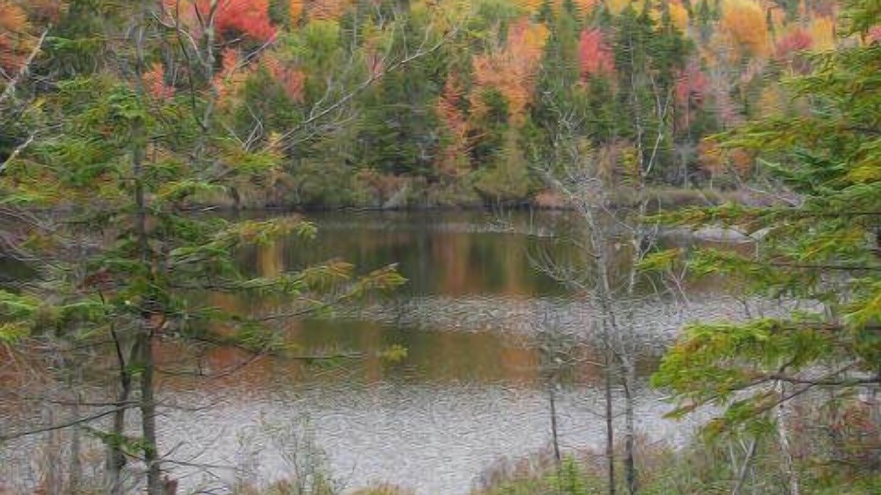 Photo of Others in Rangeley