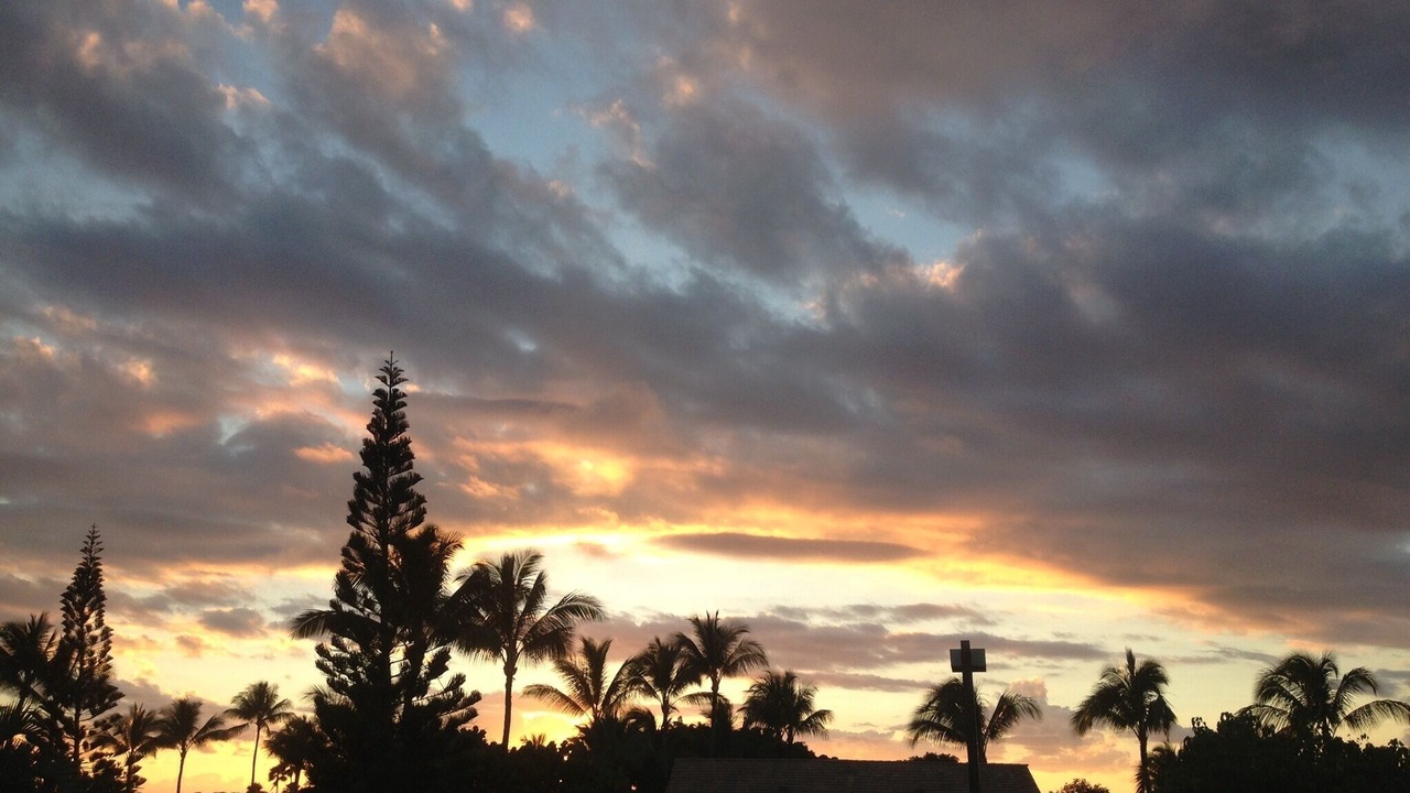 Photo of Others in Maunaloa