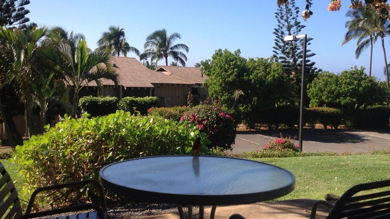 Photo of Others in Maunaloa