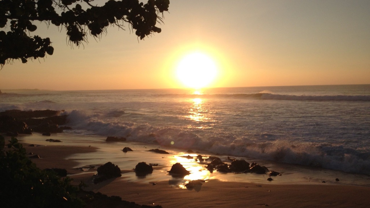 Photo of Others in Maunaloa