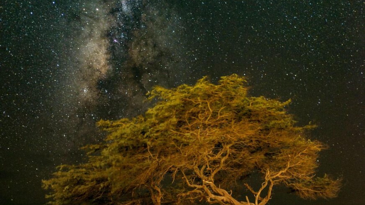 Photo of Others in Maunaloa