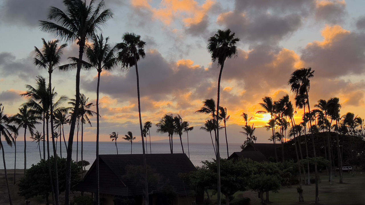 Photo of Others in Maunaloa