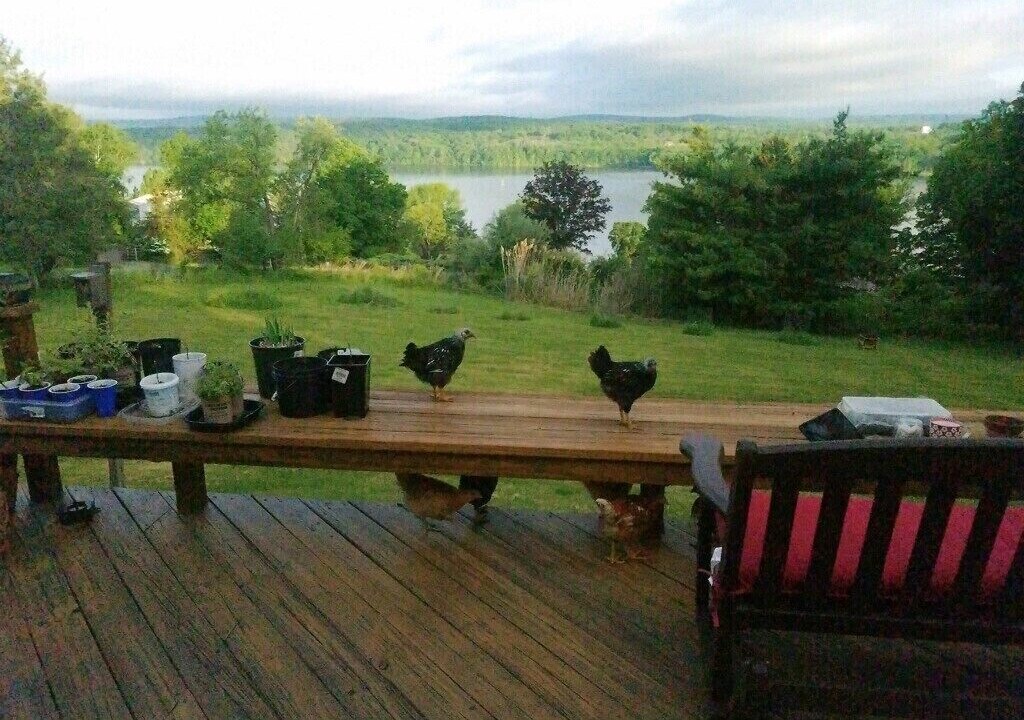 Photo of Outdoor in Hudson