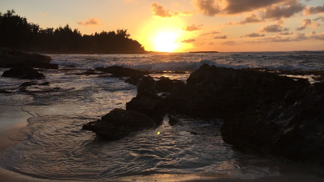 Photo of Others in Kahuku
