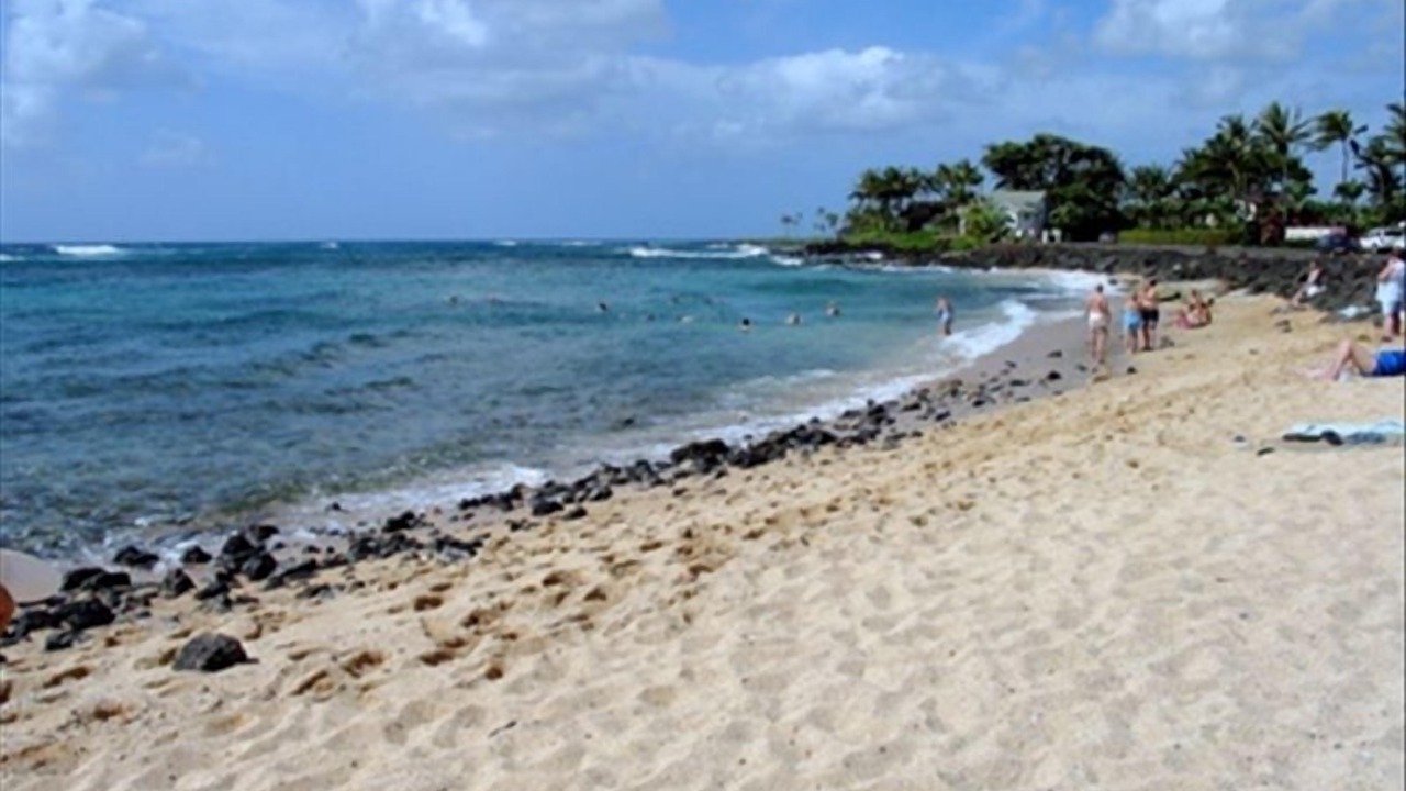 Photo of Others in Poipu