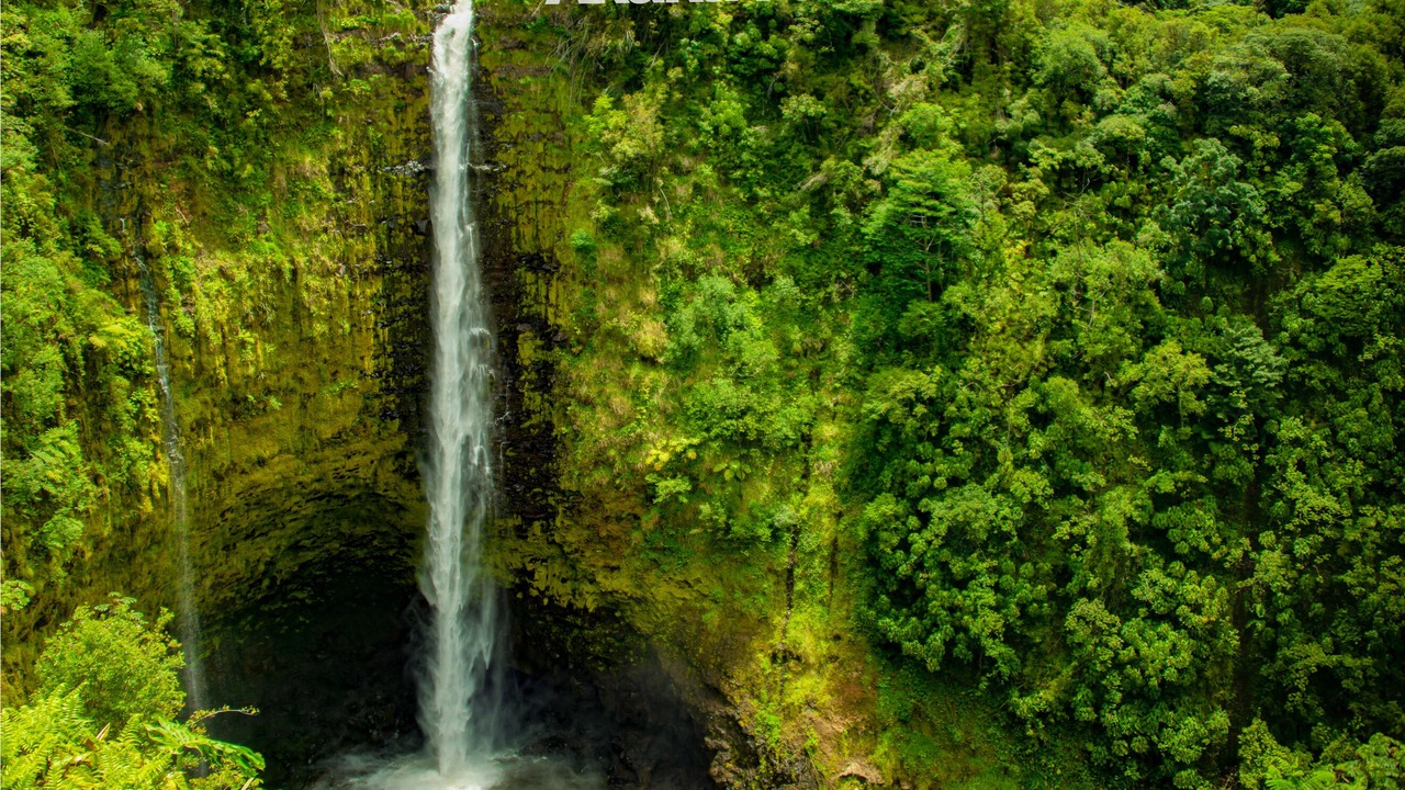 Photo of Others in Honaunau-Napoopoo