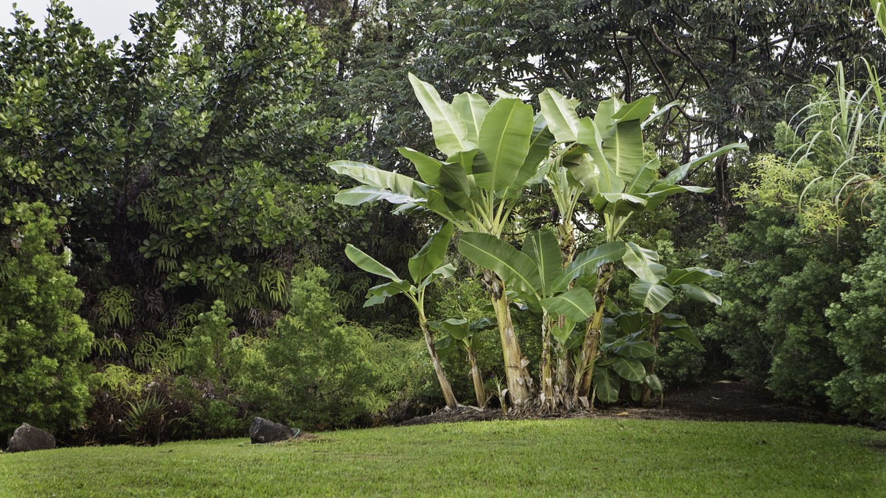 Photo of Others in Keaau