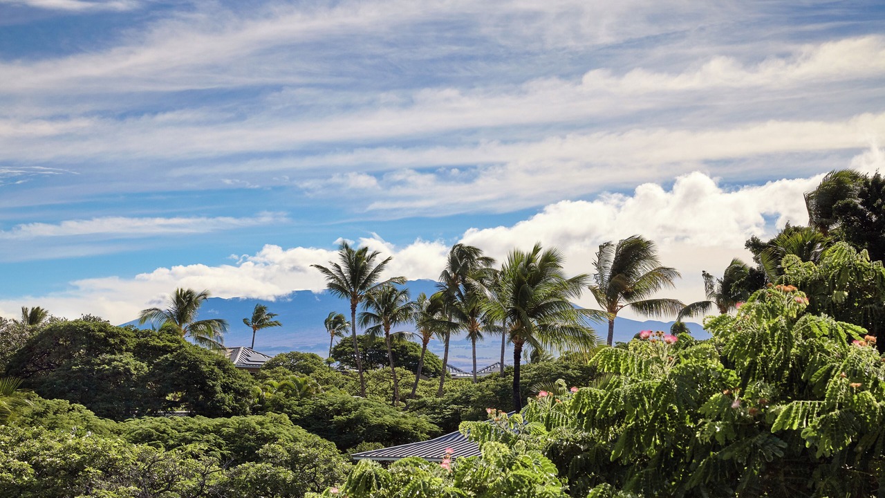 Photo of Others in Waikoloa