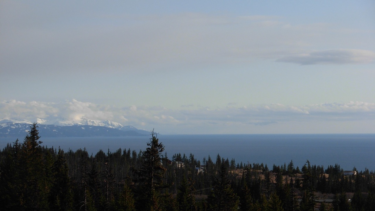 Photo of Others in Diamond Ridge