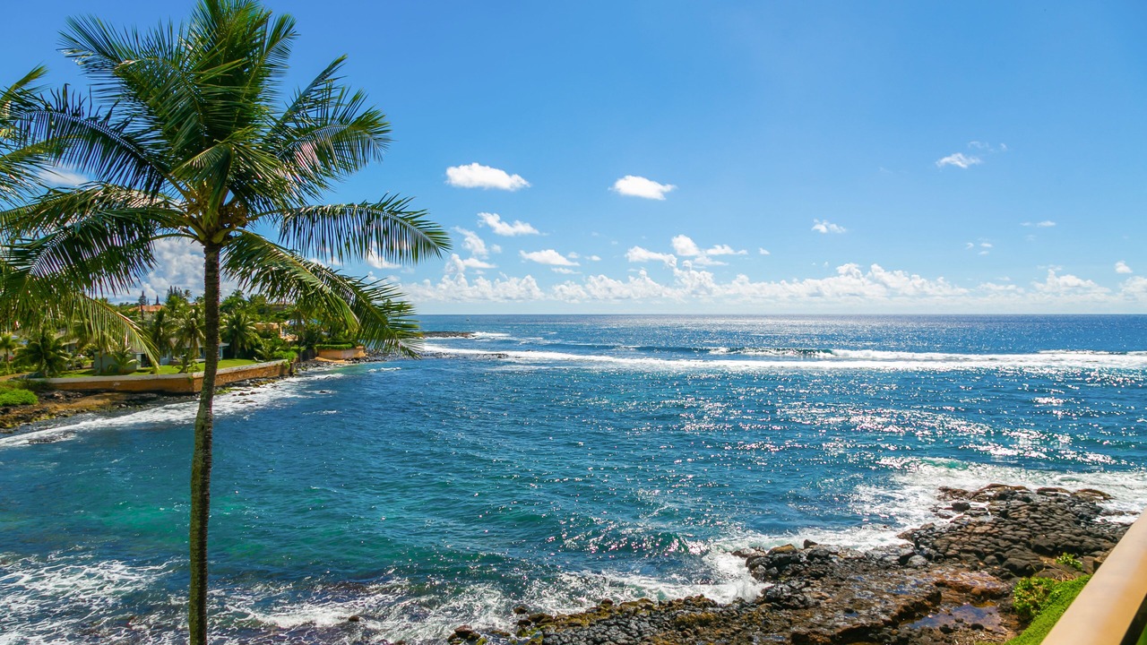 Photo of Others in Poipu