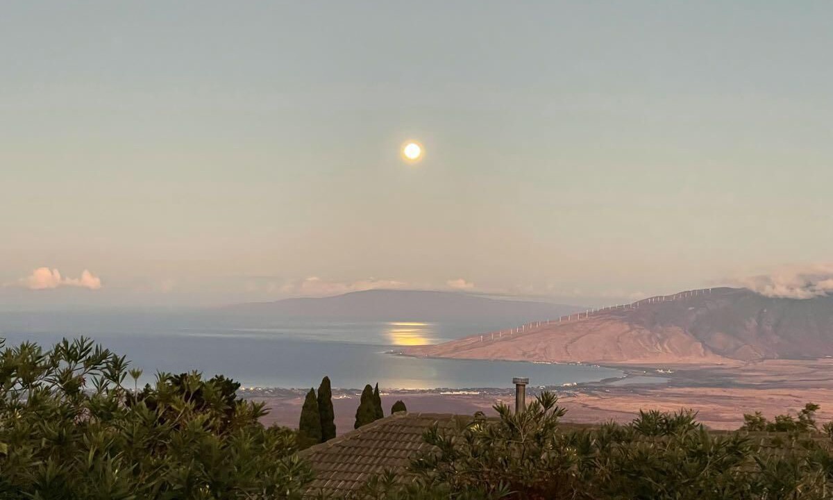 Photo of Others in Wailea