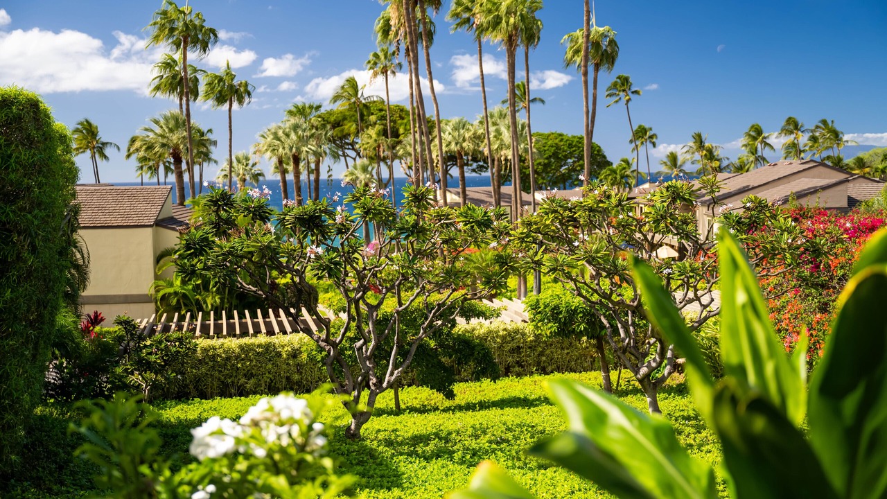 Photo of Outdoor in Wailea