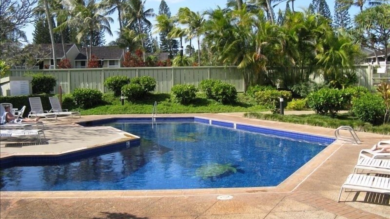 Photo of Outdoor in Kahuku
