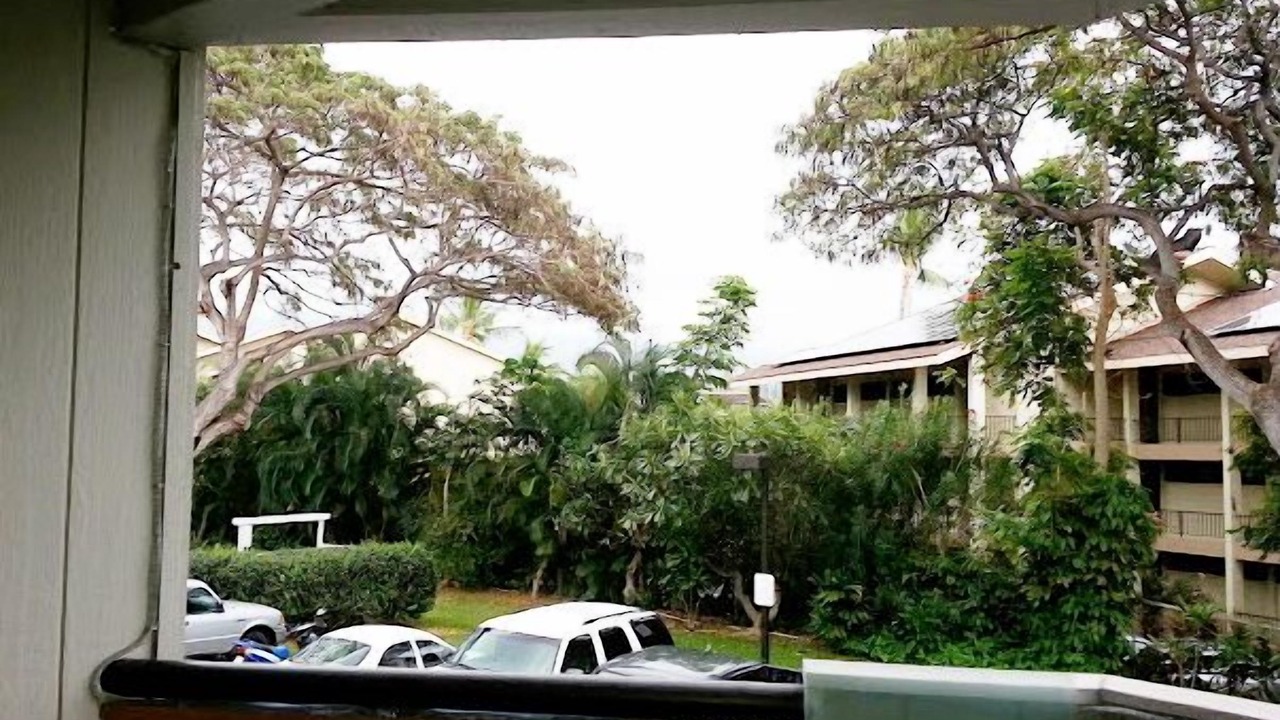 Photo of Others in Historic Kailua Village