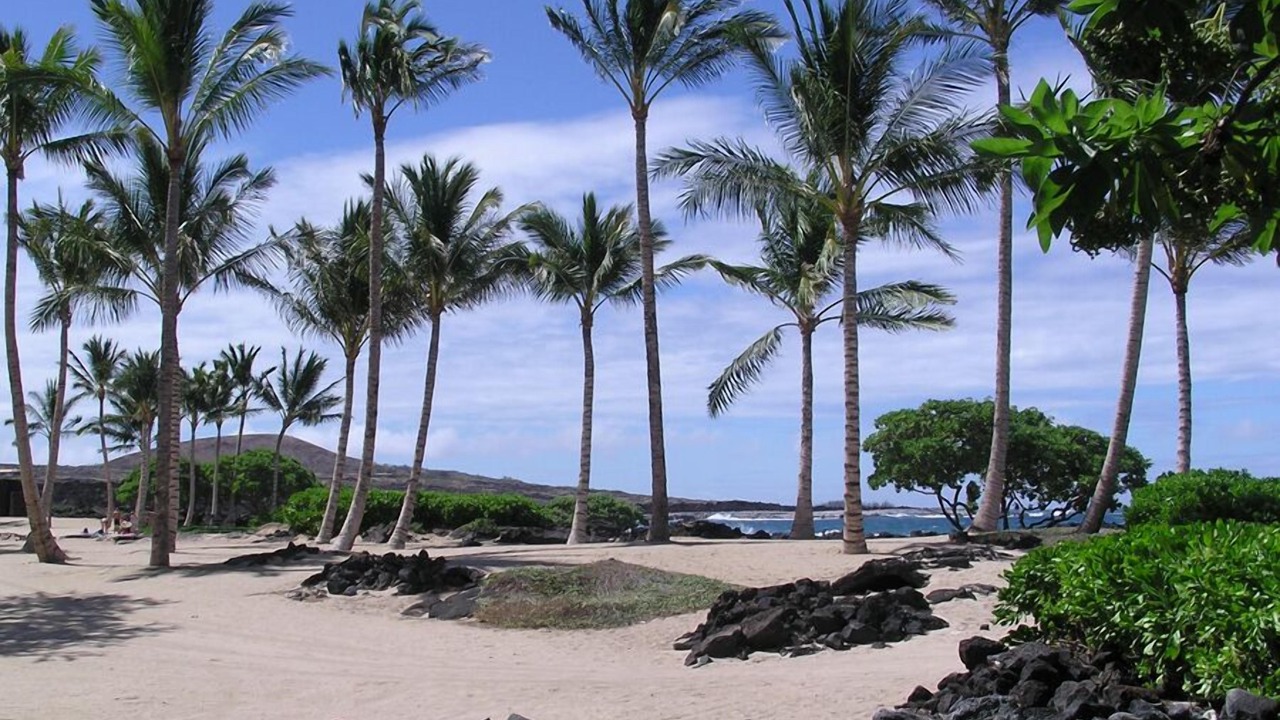 Photo of Others in Historic Kailua Village