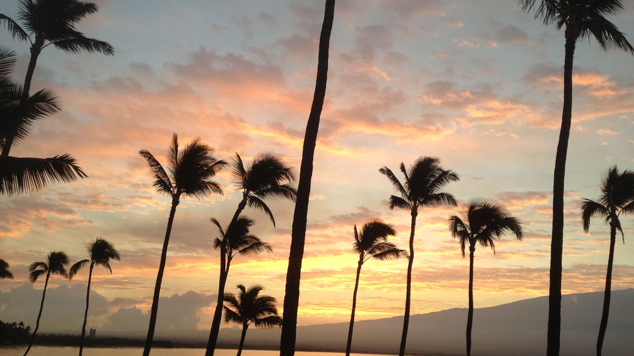Photo of Outdoor in Maalaea
