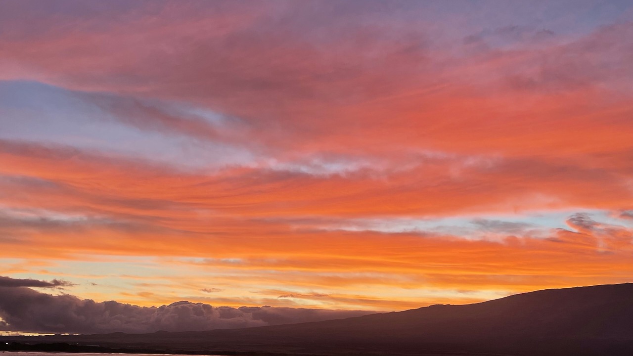 Photo of Others in Maalaea