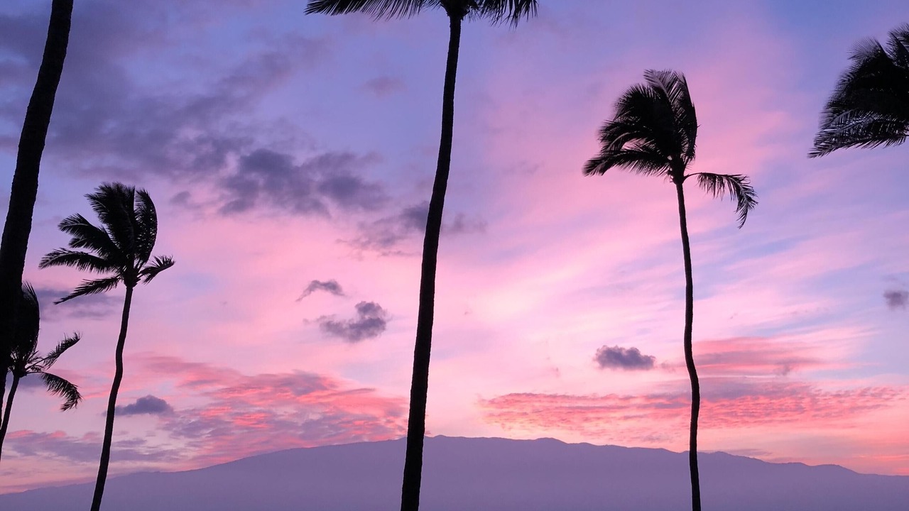Photo of Others in Maalaea