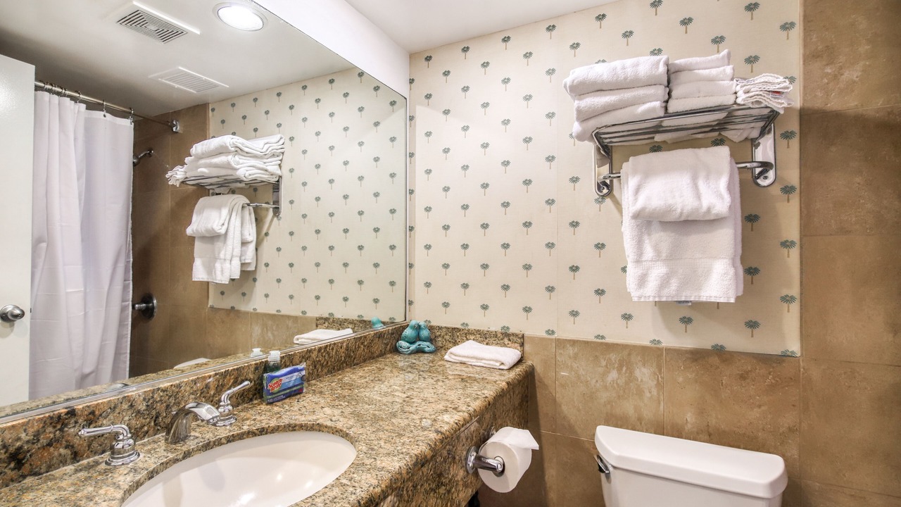 Photo of Bathroom in Kaka'ako