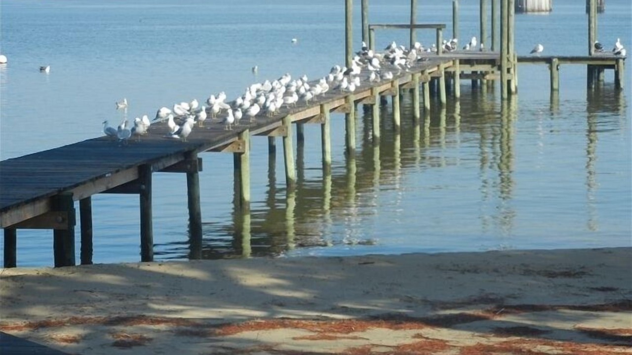 Photo of Others in Surry
