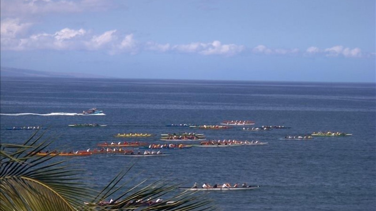 Photo of Others in Kihei
