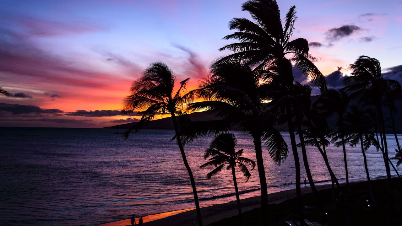 Photo of Others in Kihei