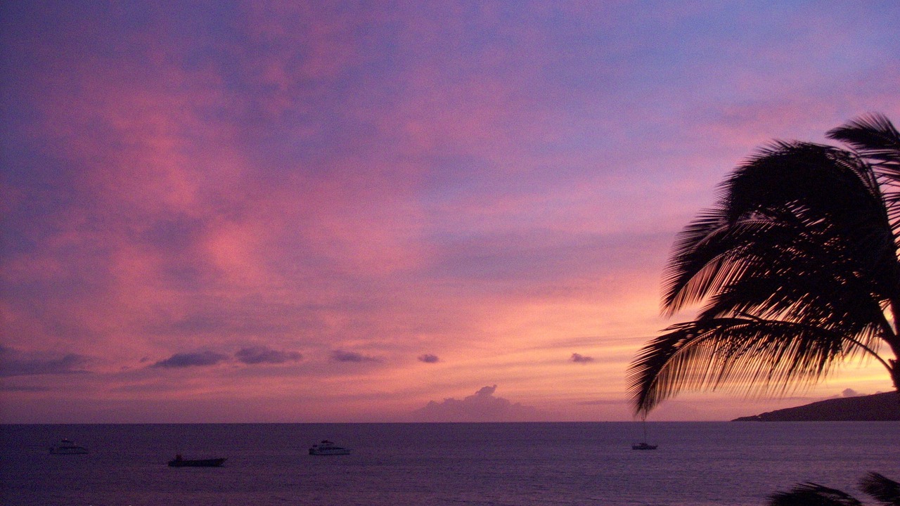 Photo of Others in Kihei