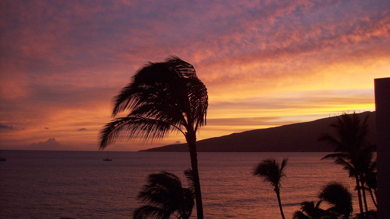 Photo of Others in Kihei