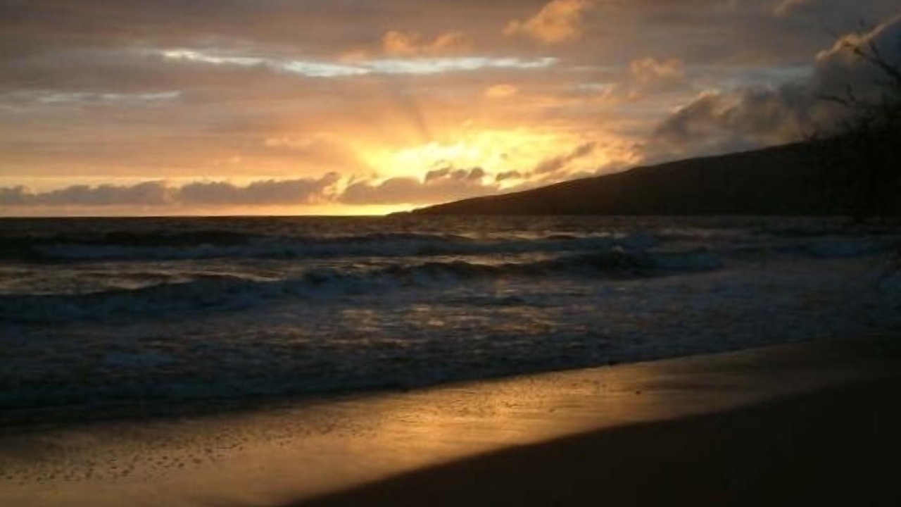 Photo of Others in Kihei