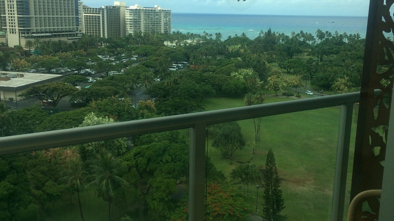 Photo of Others in Waikiki