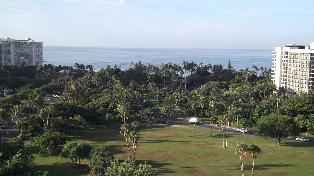 Photo of Others in Waikiki