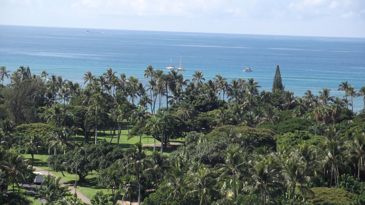 Photo of Others in Waikiki