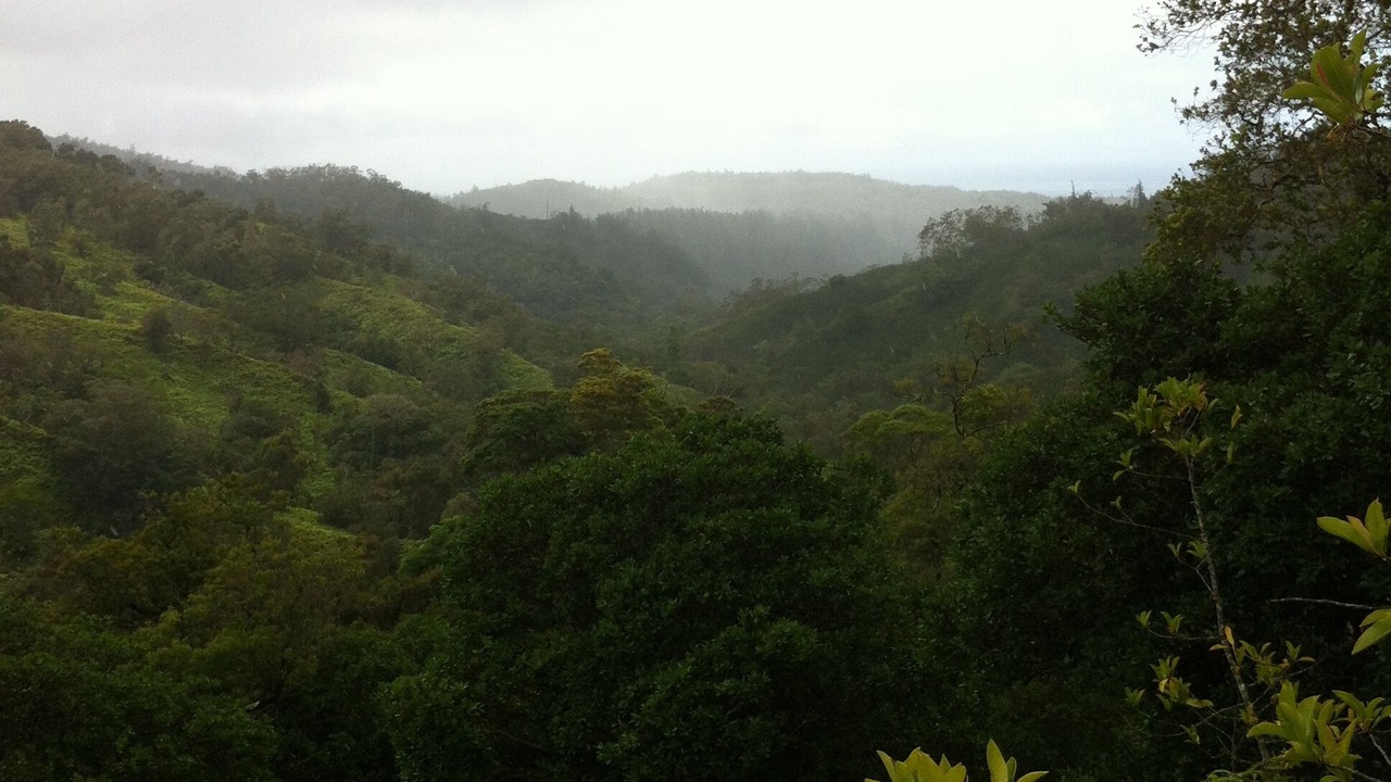 Photo of Outdoor in Pupukea
