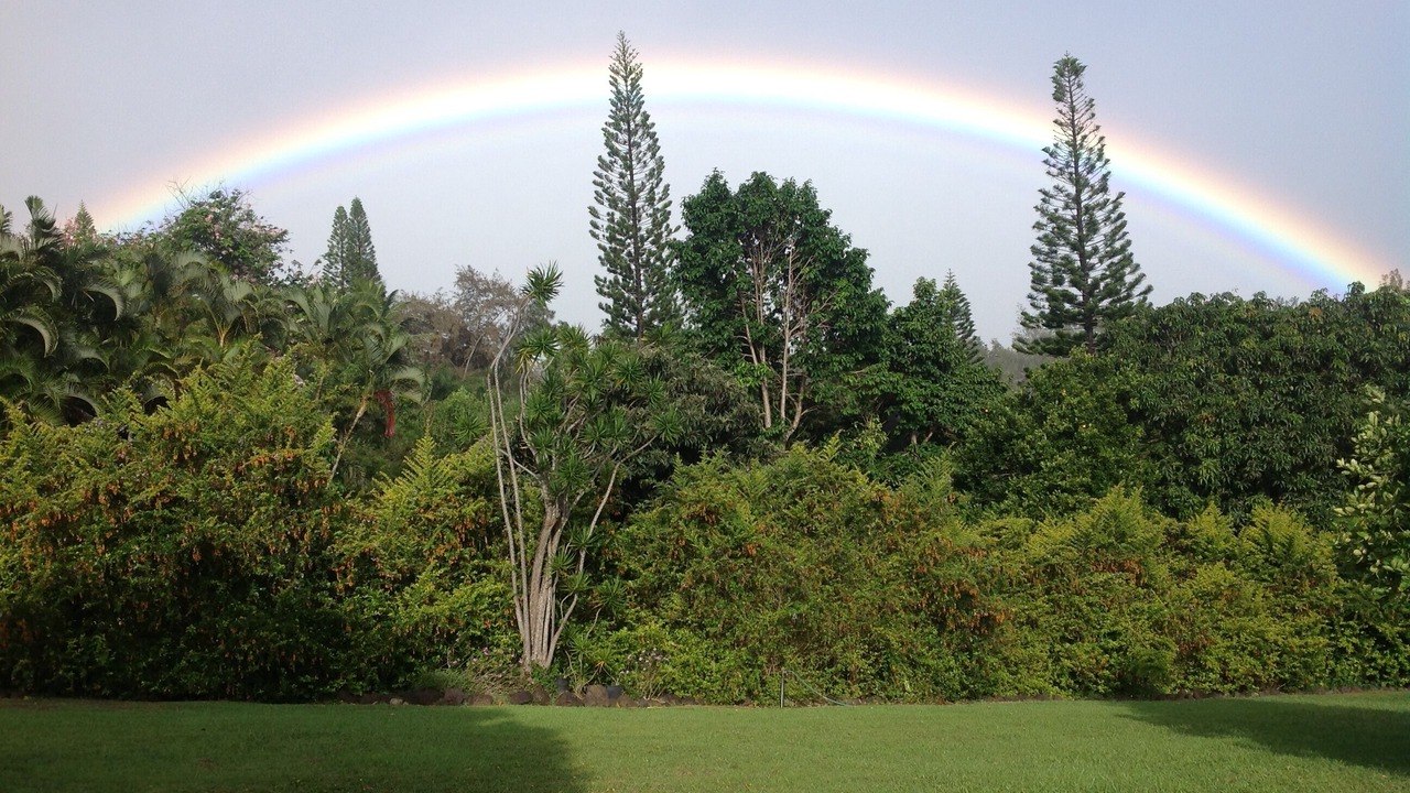 Photo of Others in Pupukea